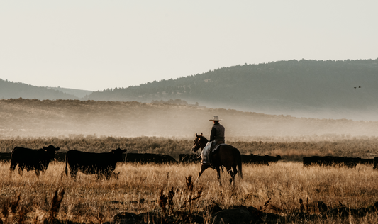 Buy Local. Eat Better: 10 Reasons to Buy Beef from Thomas Cattle Company, a Local Idaho Ranch