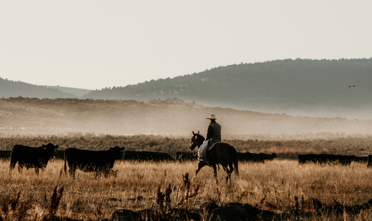 Buy Local. Eat Better: 10 Reasons to Buy Beef from Thomas Cattle Company, a Local Idaho Ranch</strong>