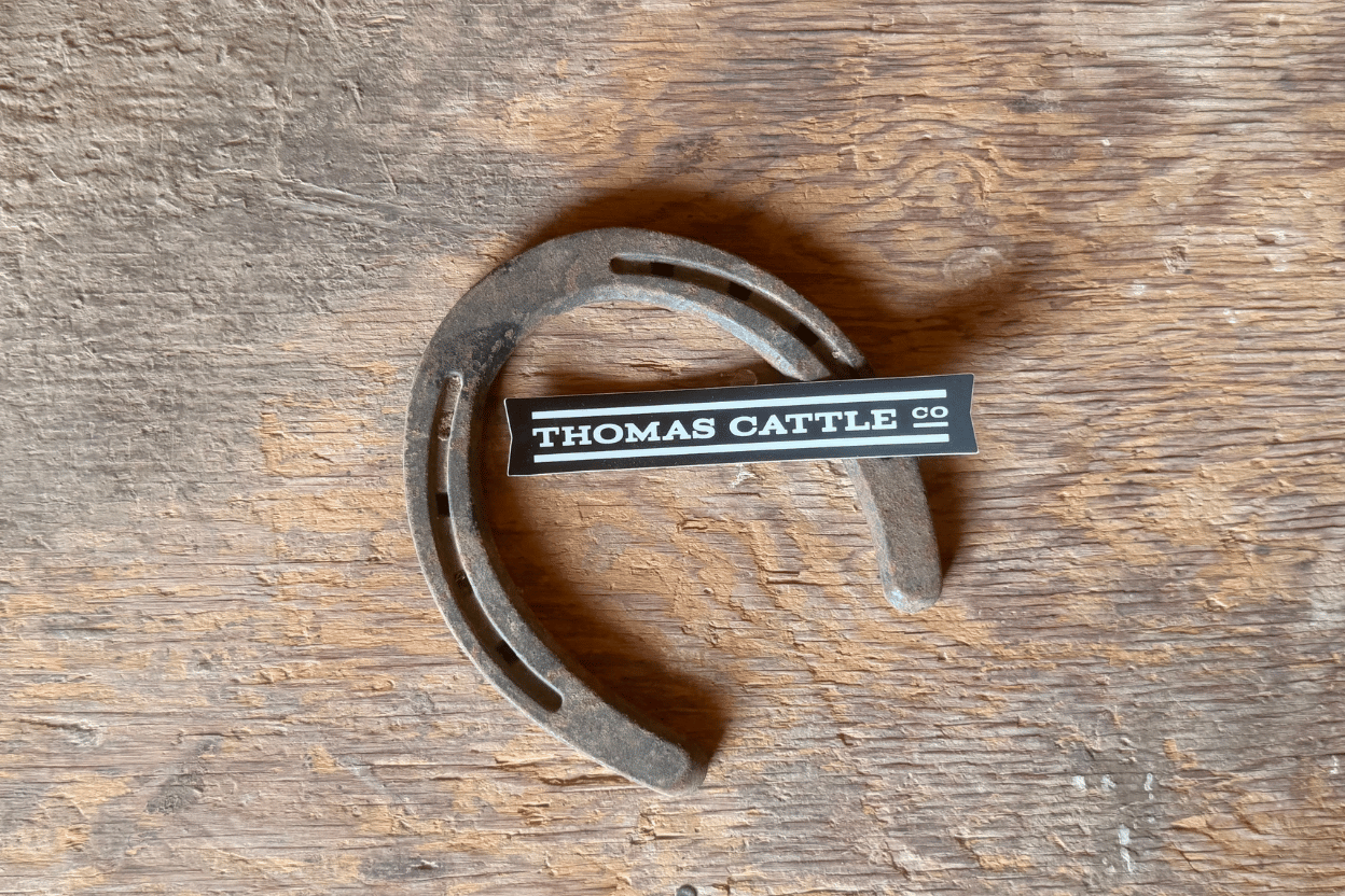 5" TCC Logo Sticker