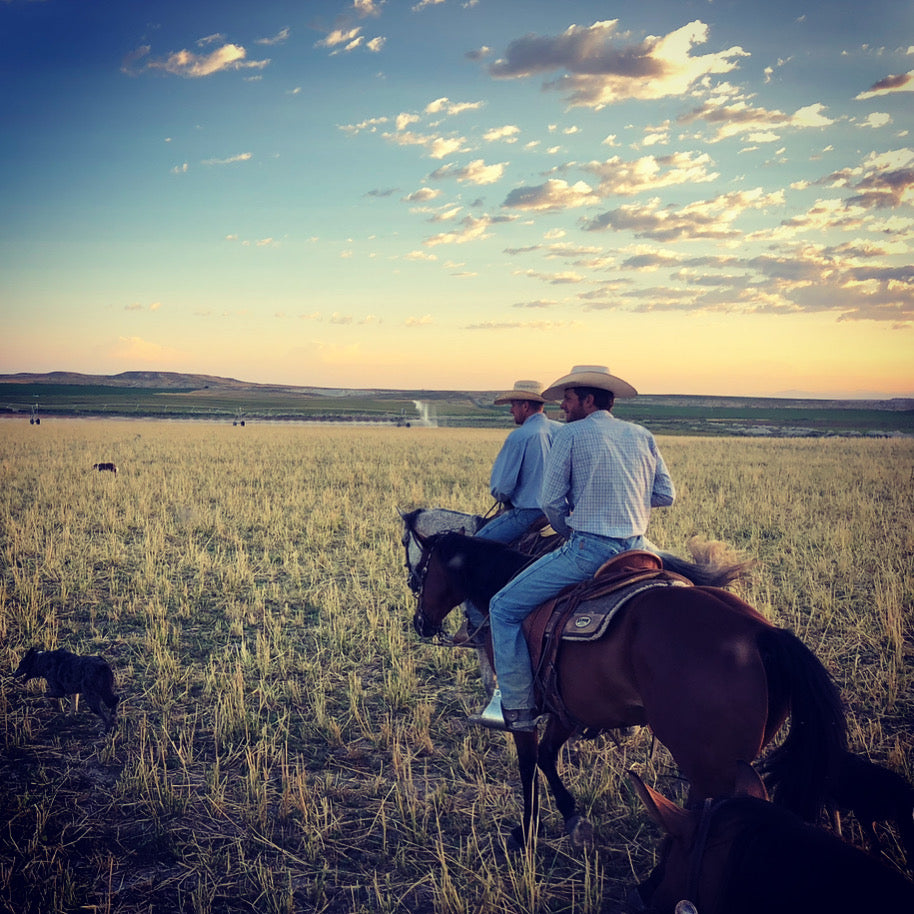 Men riding horses 