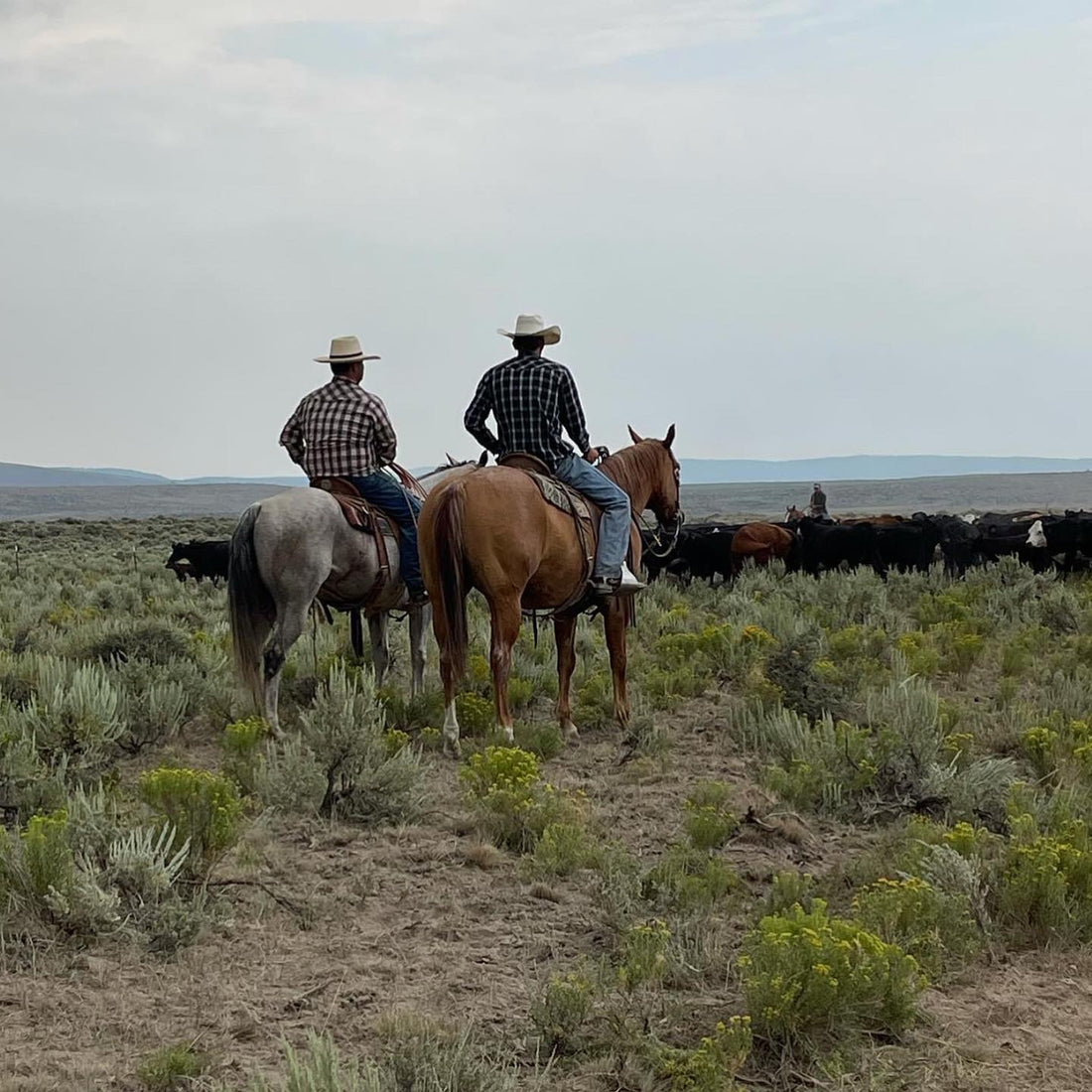 Meet the Rancher at Neighbor Tim's BBQ