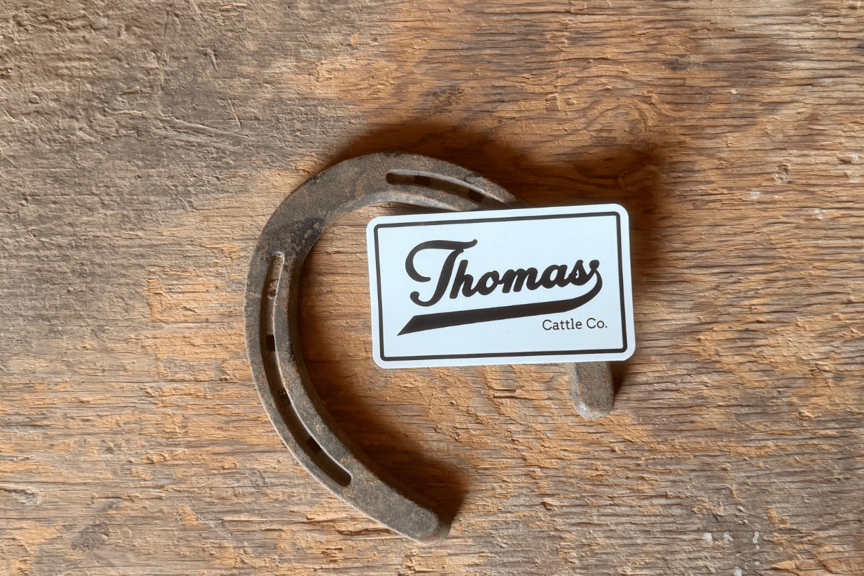 4" Vintage TCC Logo Sticker