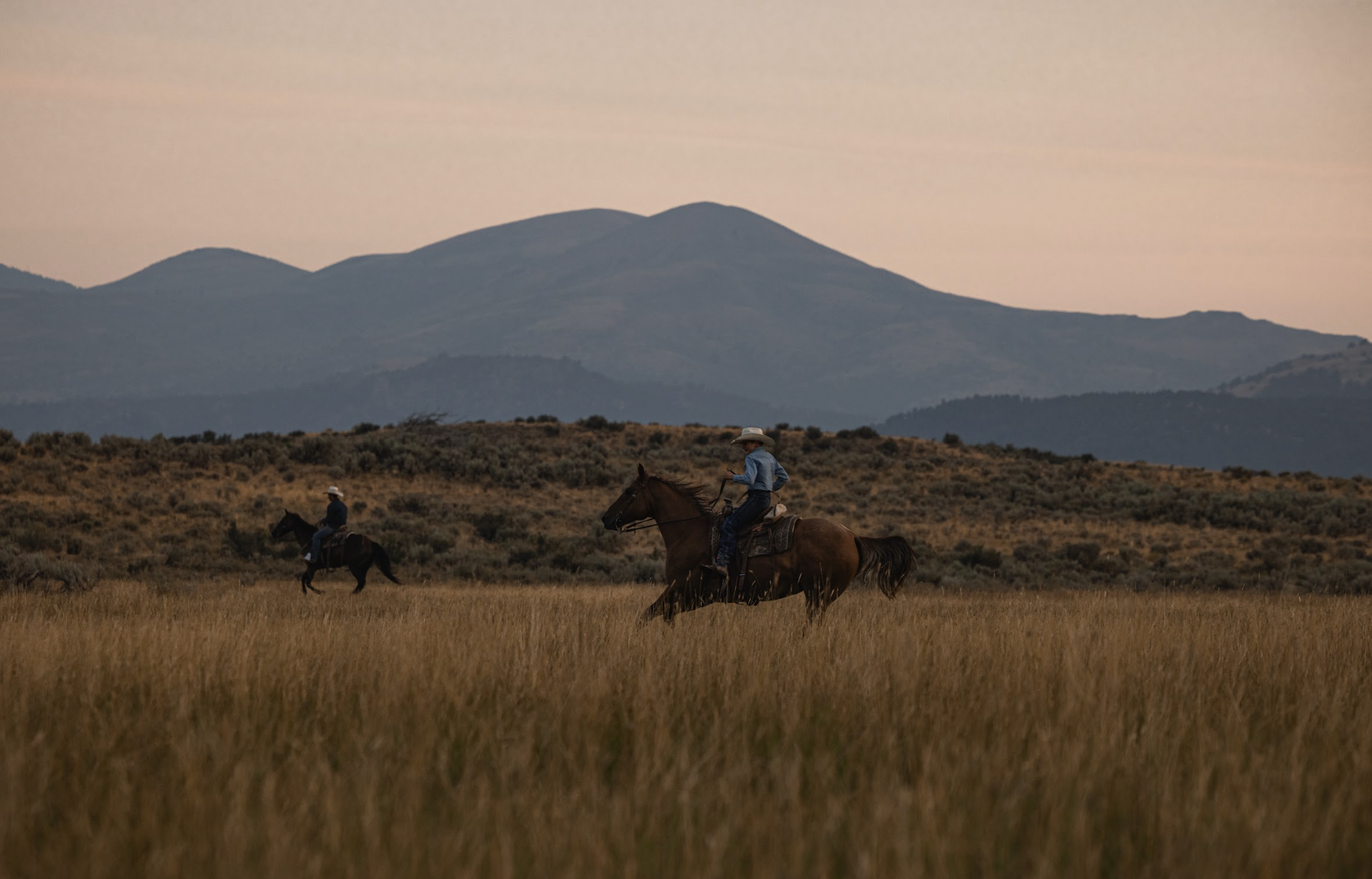 Load video: WELCOME TO THOMAS CATTLE COMPANY